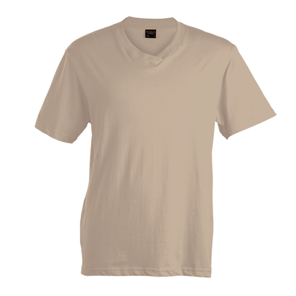 180g Barron V-Neck T-Shirt