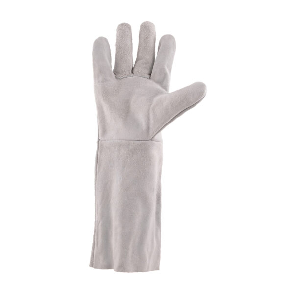 Chrome Leather Gloves Elbow Length - Image 2