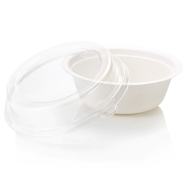 Sugar Cane BioBowl