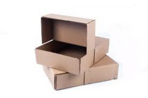 Court File Box